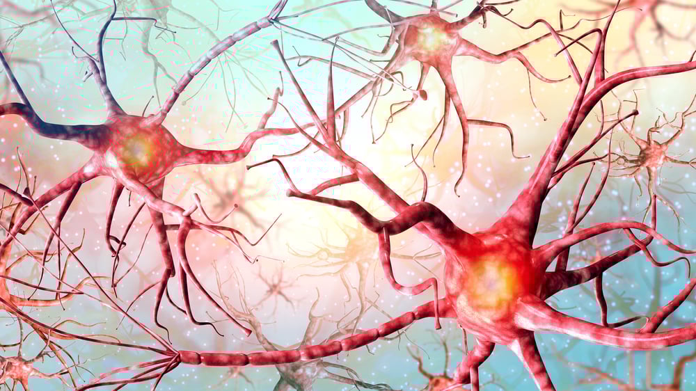 Neural network background. A high resolution( Romanova Natali)s