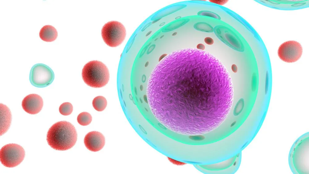 T Cells attacking Cancer Cells- 3D illustration - Illustration(Giovanni Cancemi)S