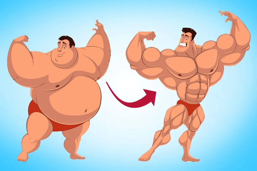 Fat Vs Muscle: Can You Turn Fat Into Muscle Through Physical Exercises?