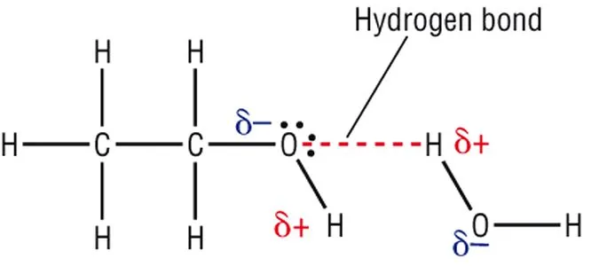 non polar compounds