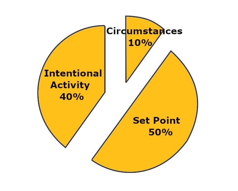 While happiness is majorly determined by set point, life circumstances affect a mere ten percent of it. Surprisingly, the activities that we intentionally engage in take up a considerable portion of the pie!