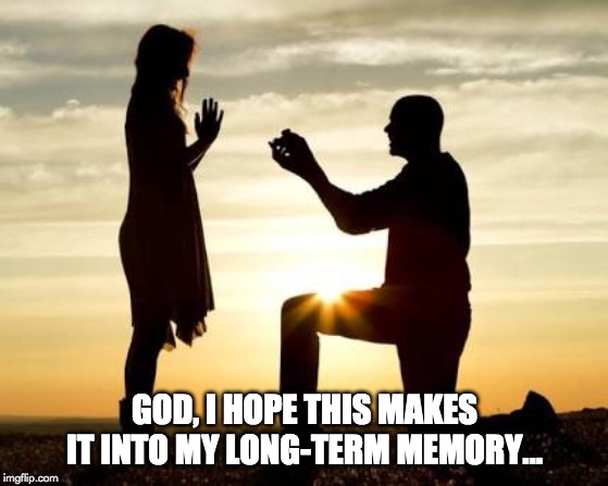 god i hope this makes it into my long term memory meme