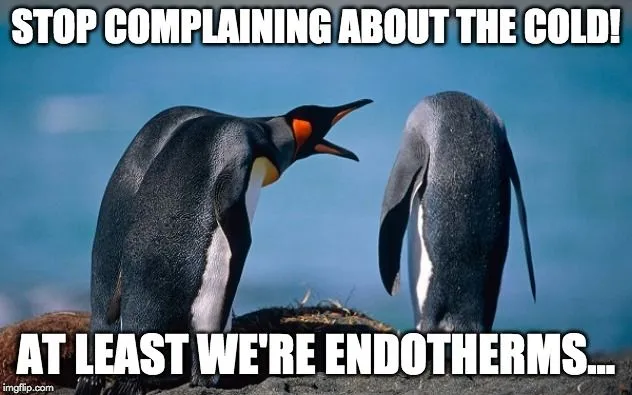 stop complaining about the cold meme