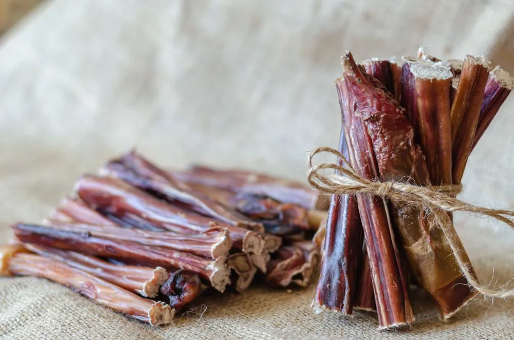 What Are Beef Pizzles?