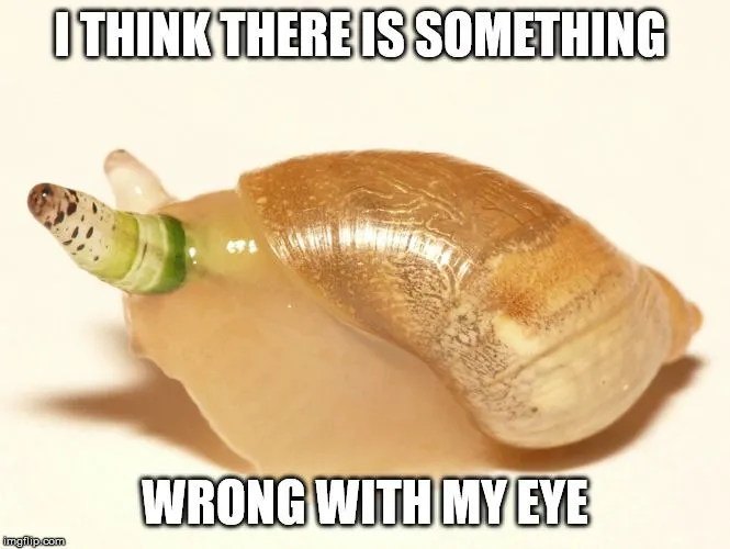 I THINK THERE IS SOMETHING; WRONG WITH MY EYE