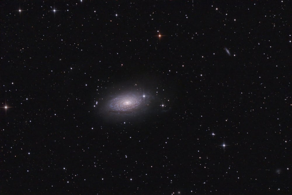 M63 Sunflower galaxy real photo( Igor Chekalin)s
