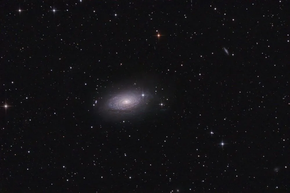 M63 Sunflower galaxy real photo( Igor Chekalin)s