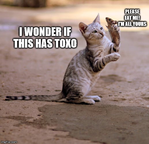 PLEASE EAT ME! I'M ALL YOURS; I WONDER IF THIS HAS TOXO
