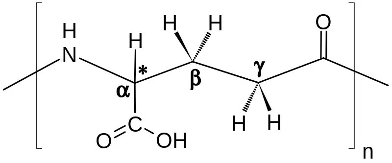 Gamma-Polyglutamic acid is a major constituent of Natto. Using this biomolecule, the dirt-coagulating chemical PGα21Ca is manufactured. (Photo Credit : Roland Mattern/Wikimedia Commons)
