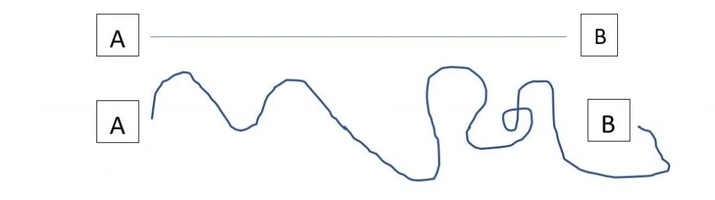The straight line on top is what the route for visual memory looks like, while the curved line below is the path for auditory input to reach the brain cortex.