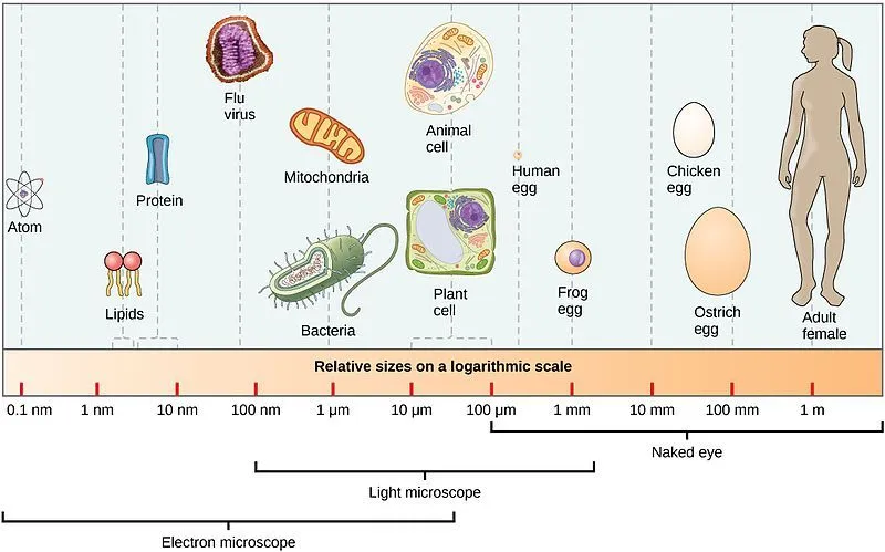 The nanometer scale