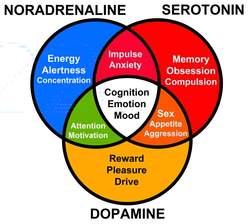 functions of different hormones like serotonin, dopamine and noradrenaline(desdemona72)s