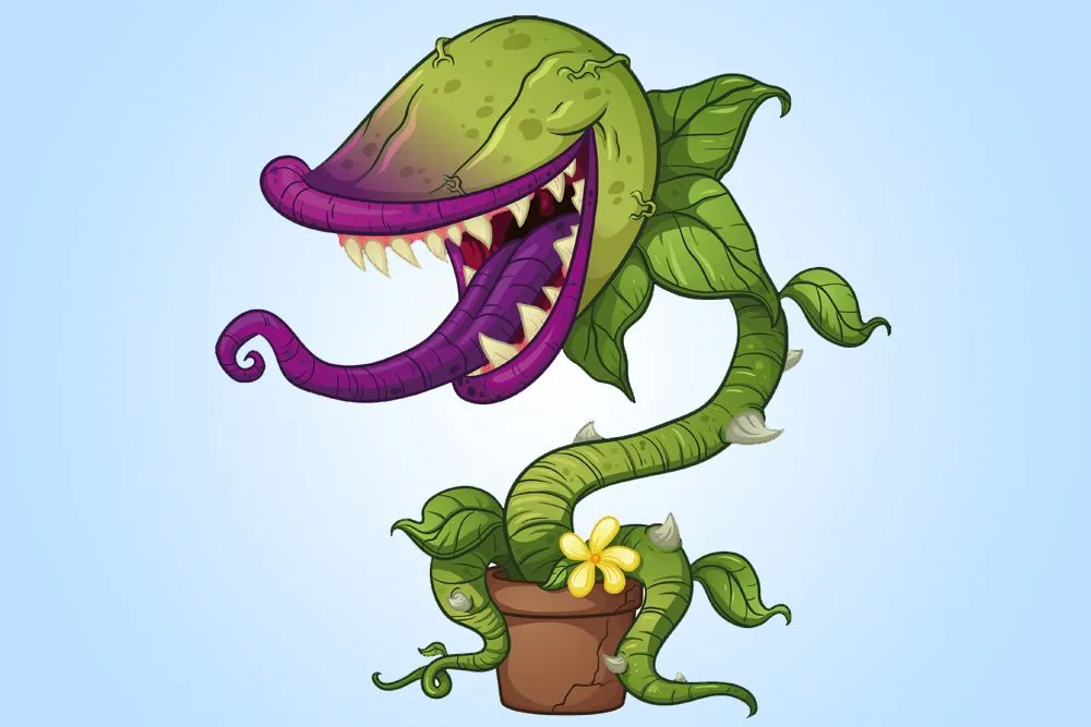 How Do Some Common Insectivorous Plants Work?