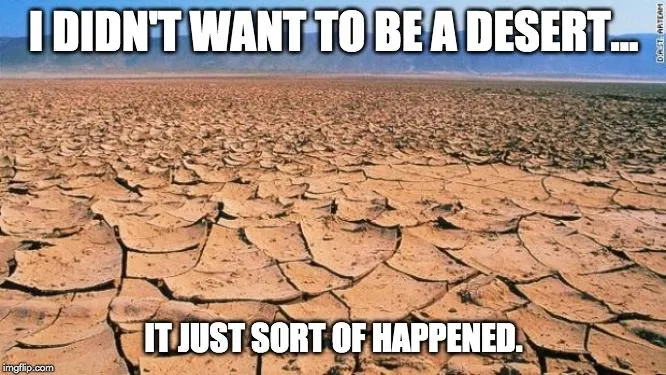 i didn't want to be a desert.. meme