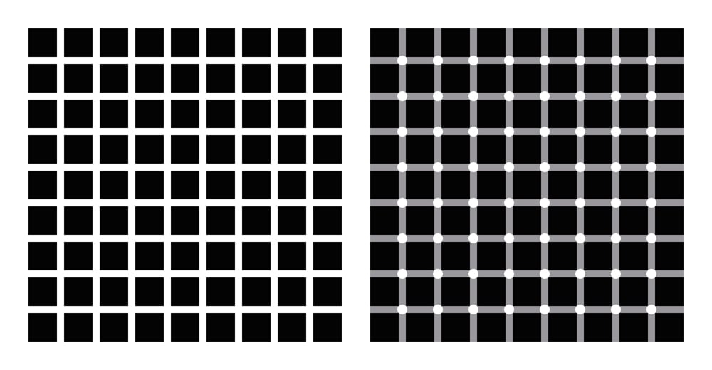 Hermann grid and scintillating grid illusion(Peter Hermes Furian)s
