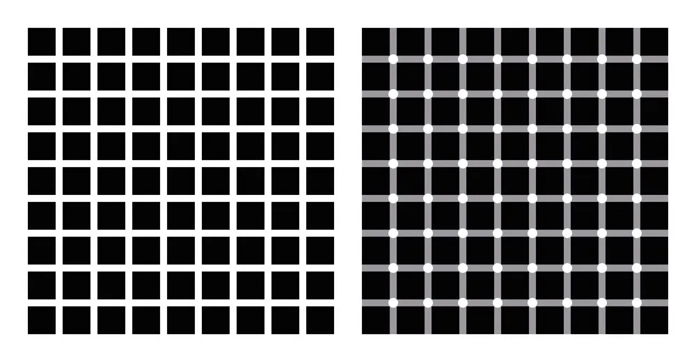 Hermann grid and scintillating grid illusion(Peter Hermes Furian)s