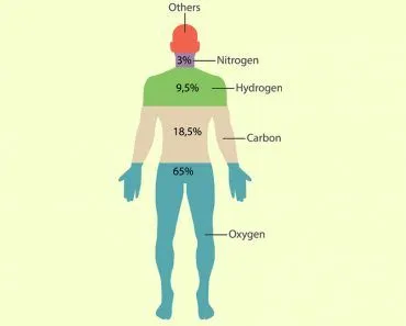 Human Composition(eenoki)S