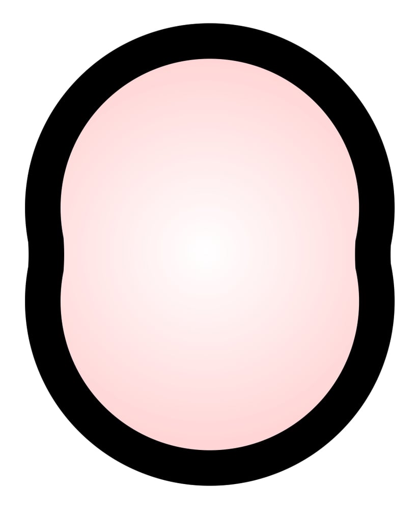 Profile of the rotary engine combustion chamber(BigAlBaloo)S