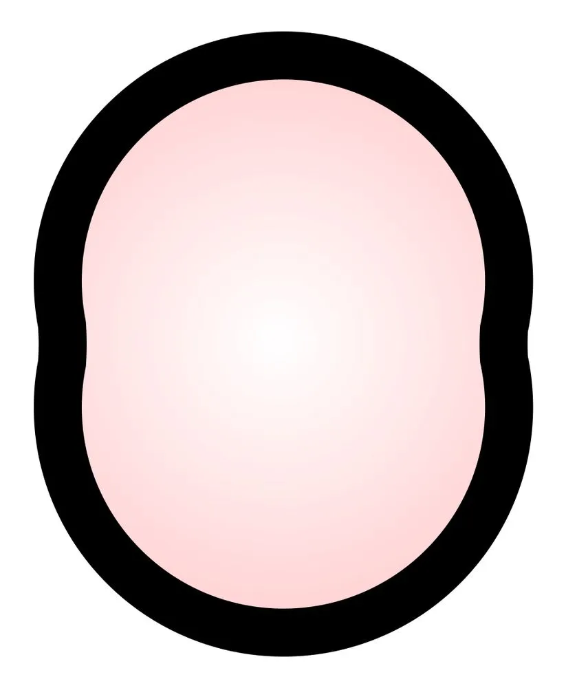 Profile of the rotary engine combustion chamber(BigAlBaloo)S