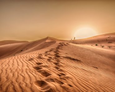 Sunset in the desert, Sunset in the desert in Dubai UAE(wessam Noufal)S