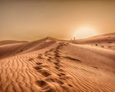 Sunset in the desert, Sunset in the desert in Dubai UAE(wessam Noufal)S