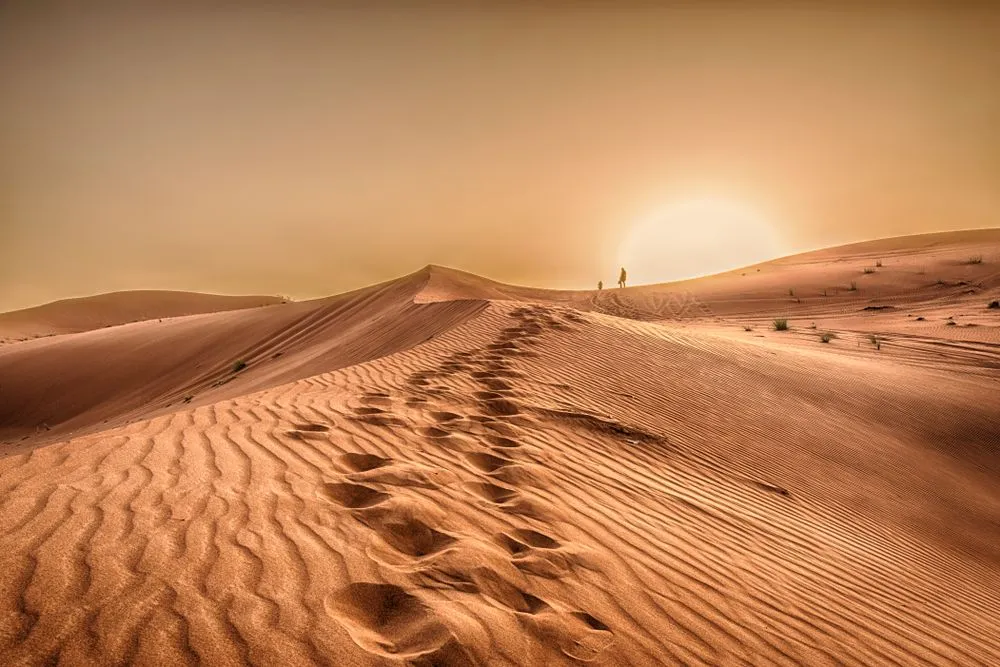 Science Of Desert Life: What Is It To Live In A Desert?