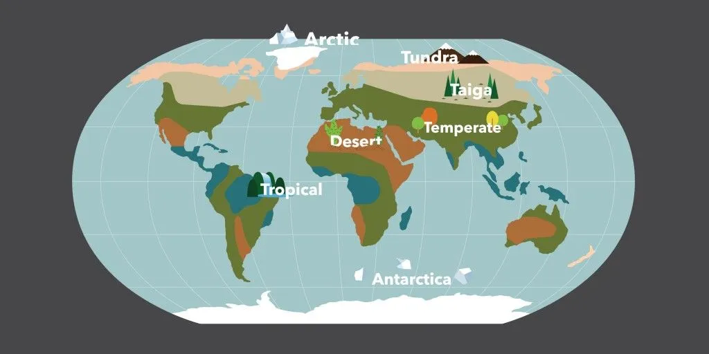 World map biome vector illustration(tom_tk)s
