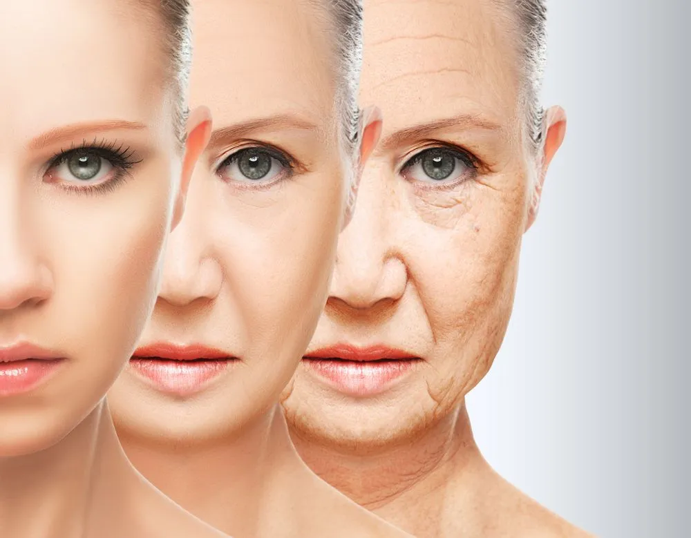 Can We Slow Down Aging?