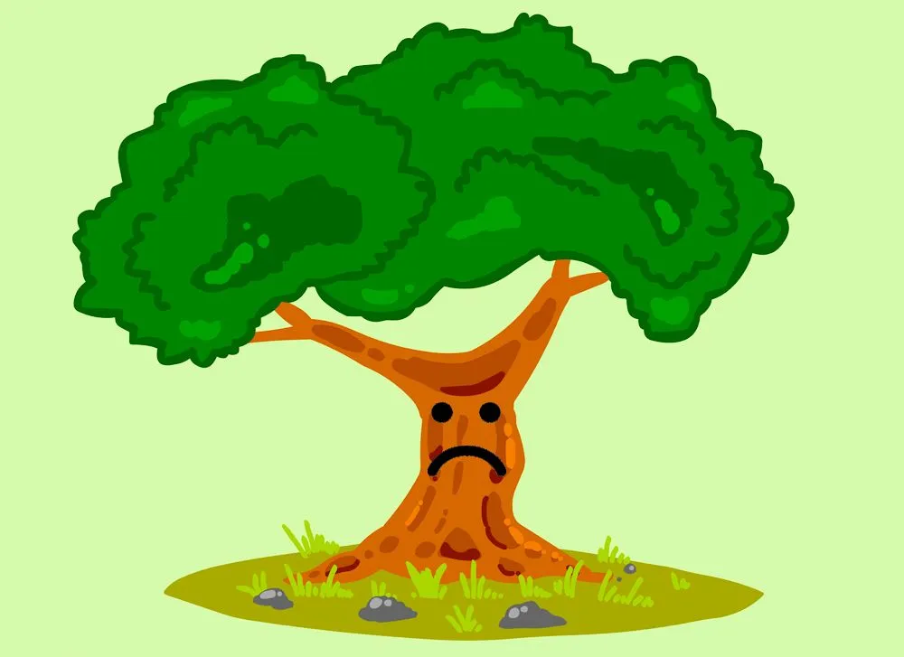 Plants Scream: Do Plants Feel Pain And Stress?