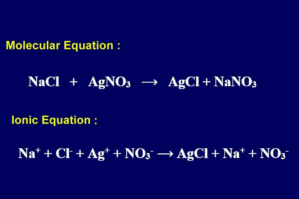 What Is A Net Ionic Equation? How To Write A Net Ionic Equation?
