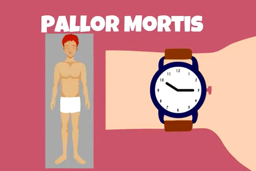 Pallor Mortis: What Happens To The Body Immediately After Death?