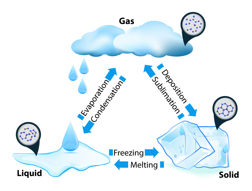 phase or state of matter. phase transition(Designua)S