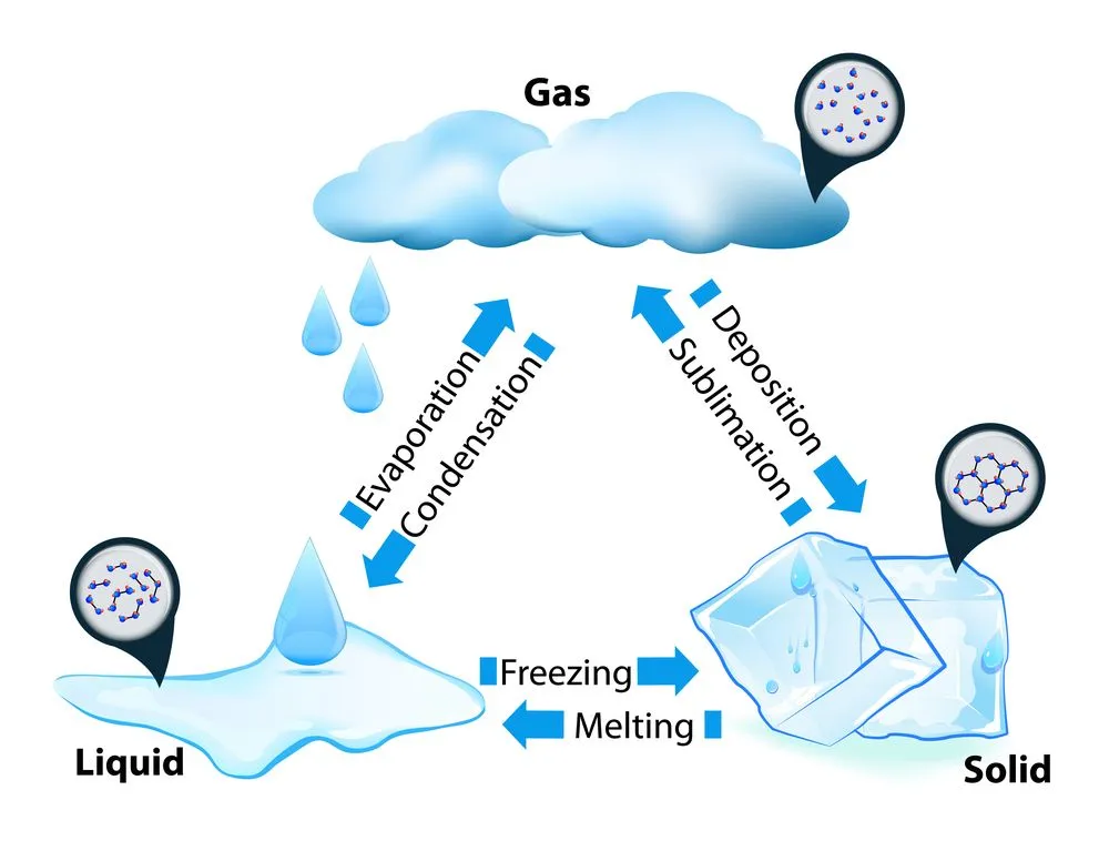 phase or state of matter. phase transition(Designua)S