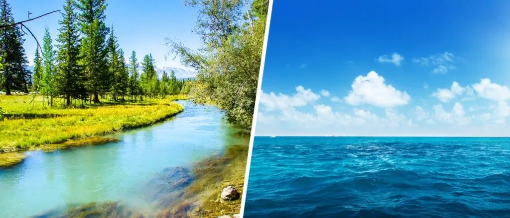 Is Freshwater Darker Than Seawater In Color?