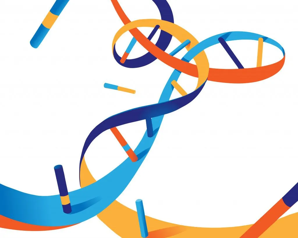 Does DNA Change Over Time?