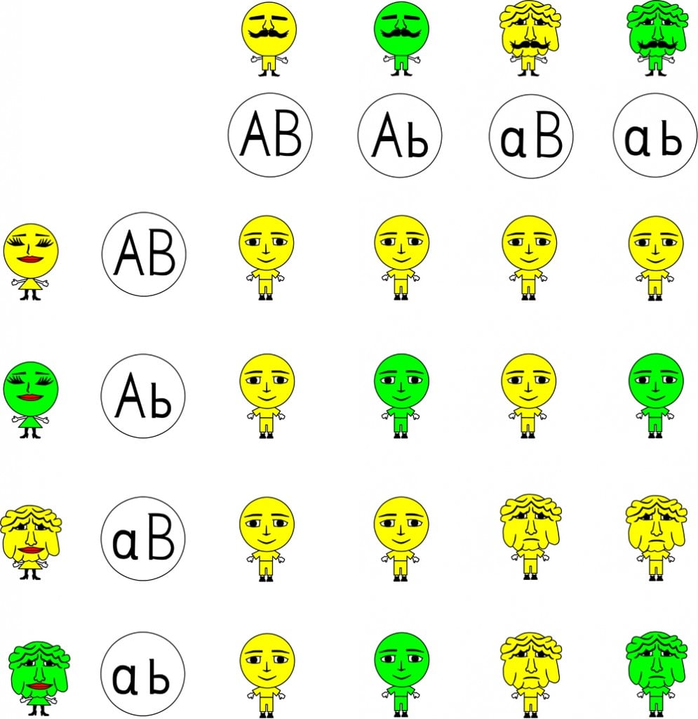 Difference Between Homozygous and Heterozygous(Sergey Merkulov)