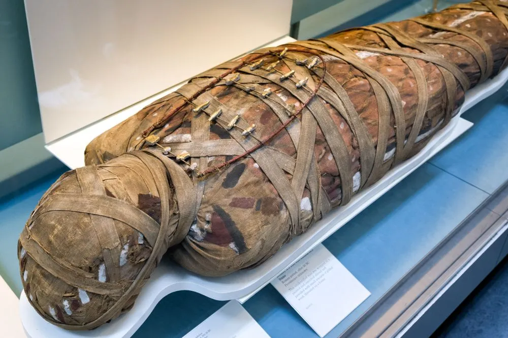 Ancient Diseases: Do Mummies Carry Ancient Pathogens?
