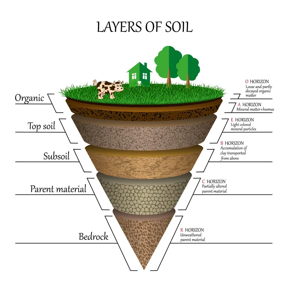 Soil Formation: What Is Soil Made Of? How Do Soils Form?
