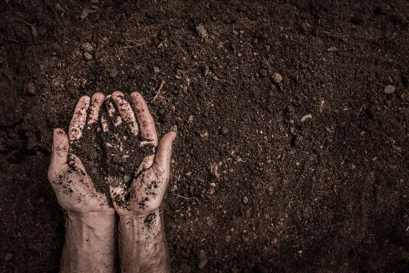 Man (farmer's) hands on soil(Pinkyone)S