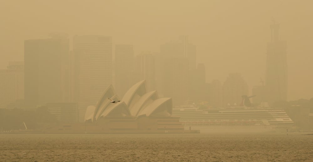 SYDNEY, AUSTRALIA. DECEMBER 10 2019. Sydney seagull and smoke(M. W. Hunt)s