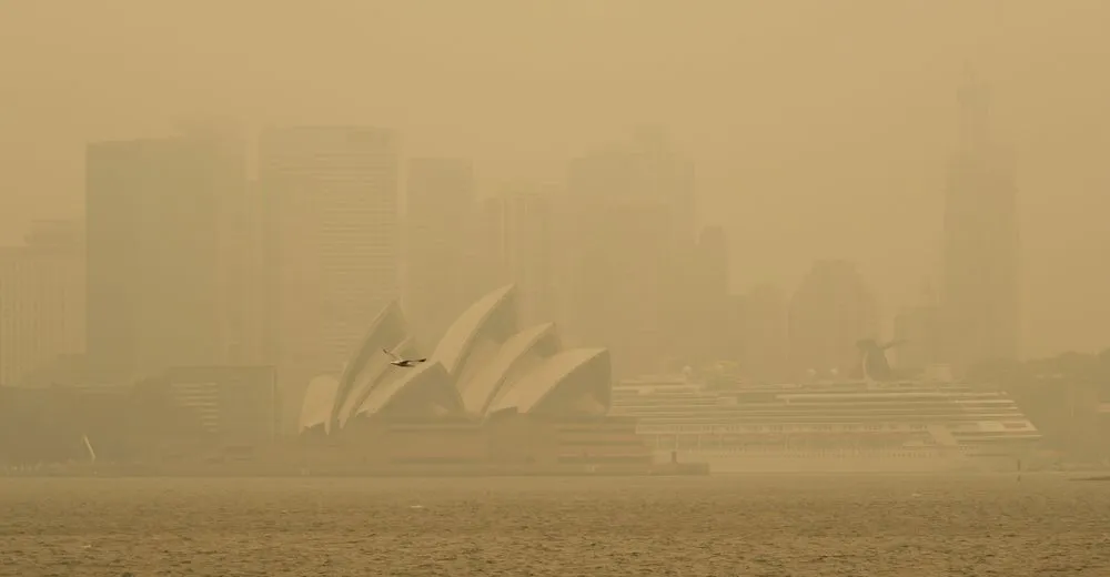 SYDNEY, AUSTRALIA. DECEMBER 10 2019. Sydney seagull and smoke(M. W. Hunt)s