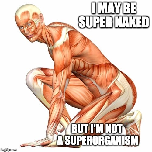 i may be super naked, but i'm not a superganism meme