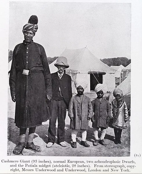 Dwarfism In Animals: Can Animals Have Dwarfism?