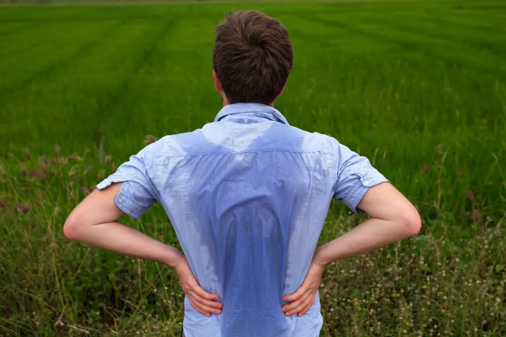 Why Do Clothes Appear Darker When They Get Wet?