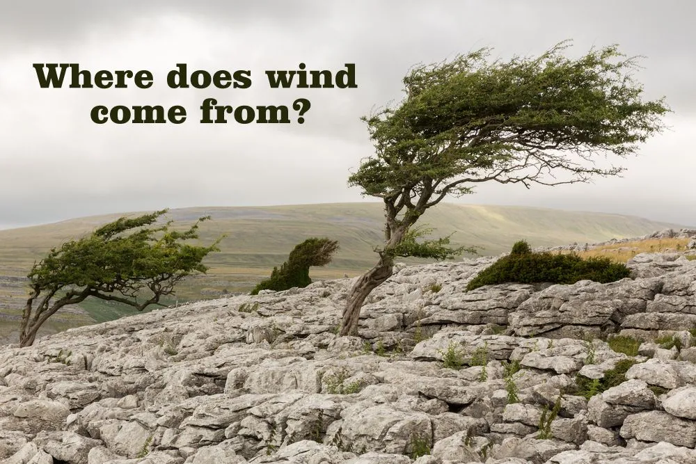 Where Does Wind Come From?