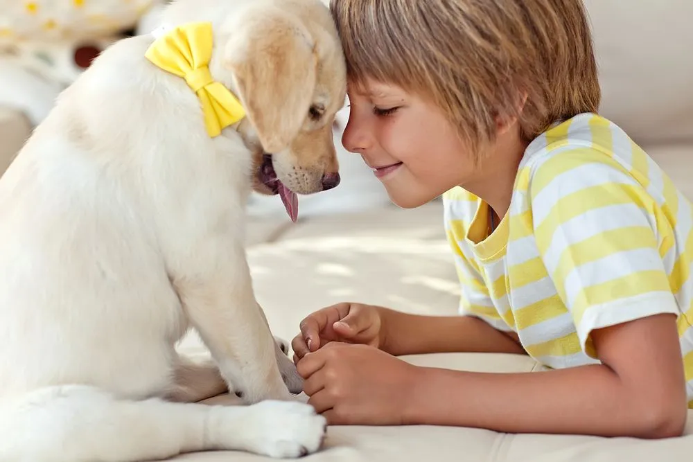 Dog Emotions: Do Dogs Know You Are Sad Or Happy?