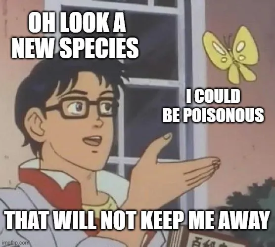 OH LOOK A NEW SPECIES; I COULD BE POISONOUS; THAT WILL NOT KEEP ME AWAY meme