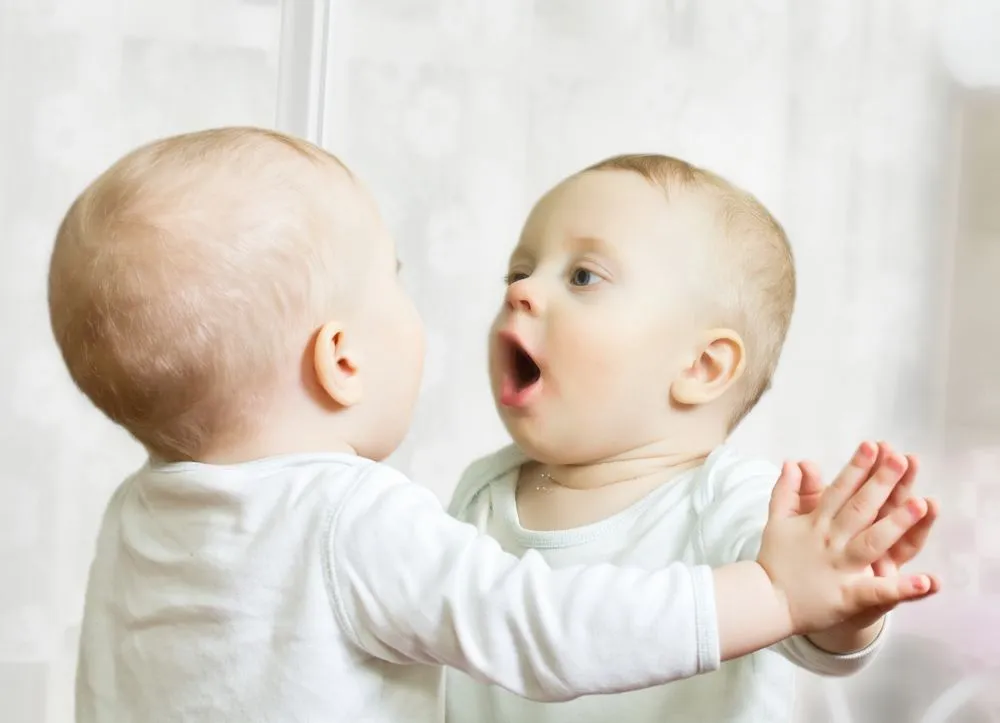 Lacanian Mirror Stage Theory: How Looking Into Mirror Affects Child's Psyche?