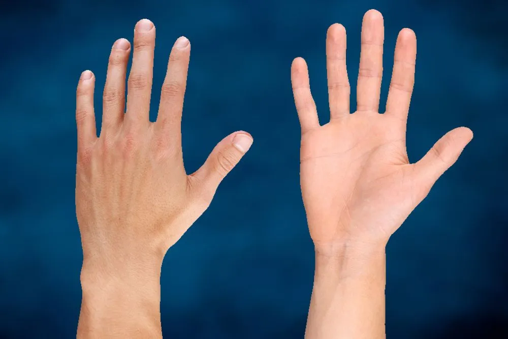 How Well Do You Know The Back Of Your Hand?