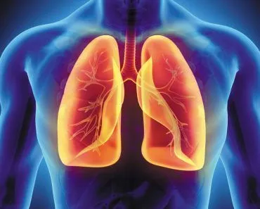 What Happens To The Dust We Inhale?